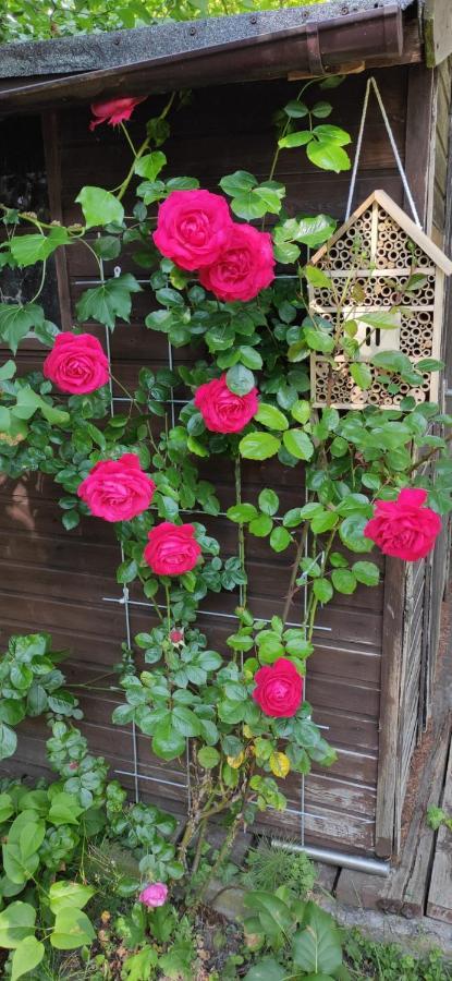 Kuestenliebe Wilhelmshaven Ngoại thất bức ảnh